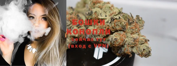спайс Баксан