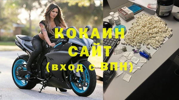 индика Балабаново