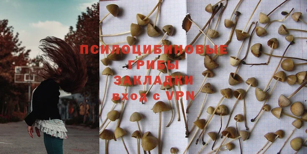 спайс Баксан